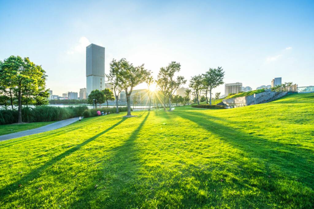 photo : city skyline with green lawn