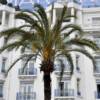 Immobilier du luxe : ces 12 villes françaises qui portent le marché