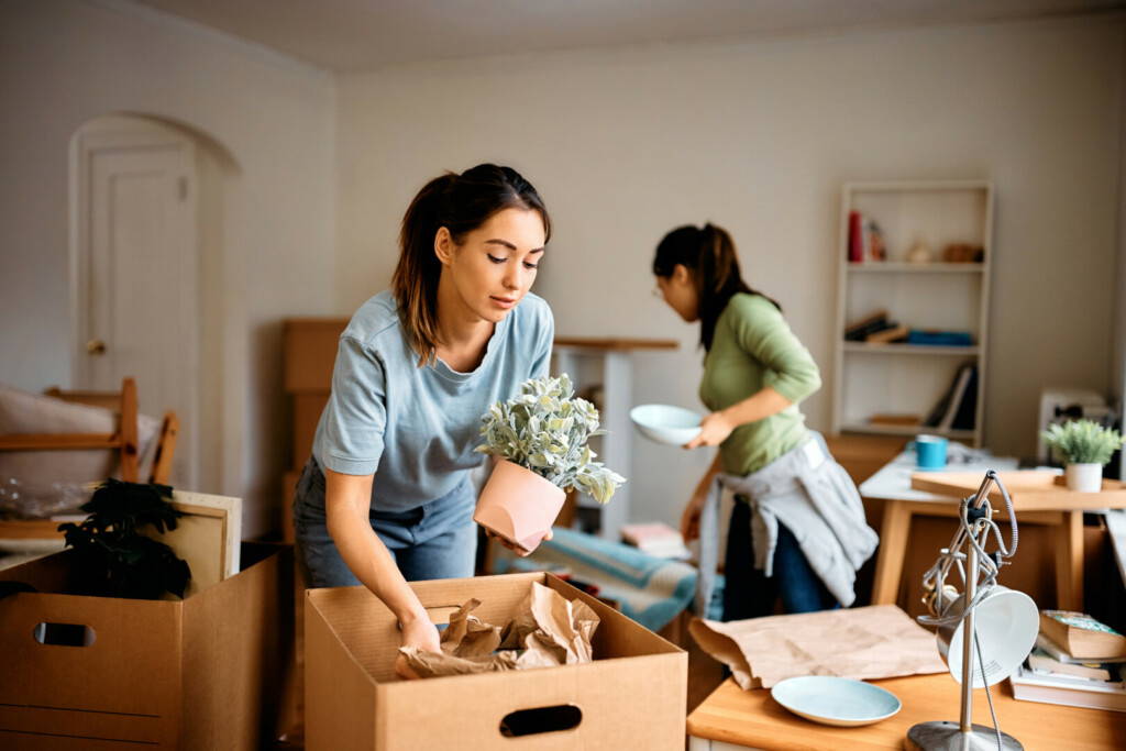 photo : Colocation : mode d'emploi juridique pour les gestionnaires locatifs
