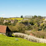 Terrains non entretenus : quelle procédure lorsque le propriétaire est introuvable ?