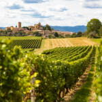 Céder un domaine viticole : des transactions qui exigent de l’expertise