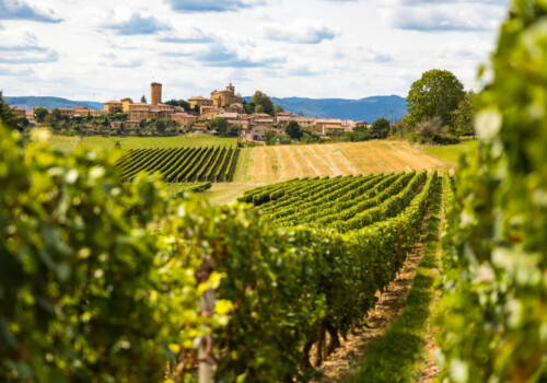 Céder un domaine viticole : des transactions qui exigent de l&rsquo;expertise